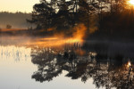 Kootwijkerveen met ochtendnevel